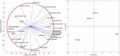 A multivariate approach to explore the volatolomic and sensory profiles of craft Italian Grape Ale beers produced with novel Saccharomyces cerevisiae strains